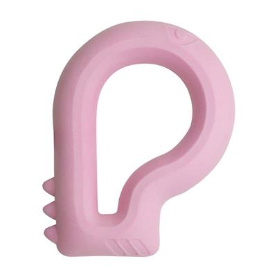 Floating Dino Dog Toy